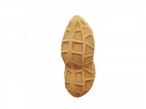 peanut 3D Model