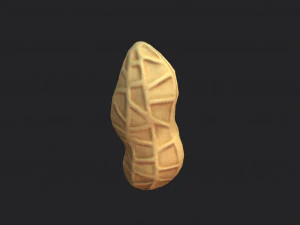peanut 3D Model