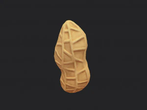 peanut 3D Model