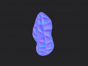 peanut 3D Model
