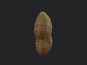 peanut Modèle 3D