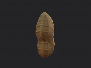peanut 3D Model