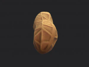 peanut 3D Model