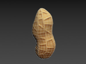 peanut Modèle 3D