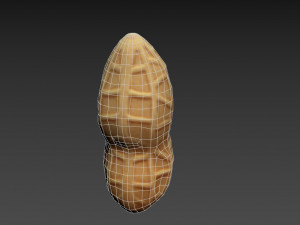 peanut Modèle 3D