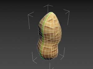 peanut Modèle 3D