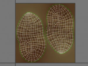 peanut 3D Model