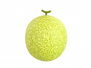 melon Modelo 3D