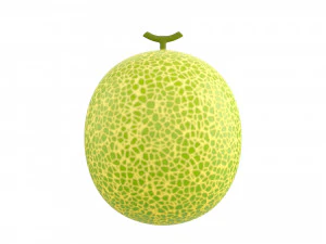 melone Modello 3D