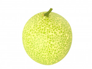 melon 3D Модель