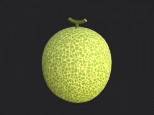 melon 3D Модель