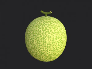melone Modello 3D
