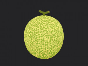 melon 3D Модель