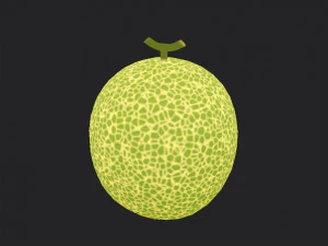 melone Modello 3D