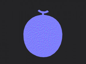 melon 3D Модель