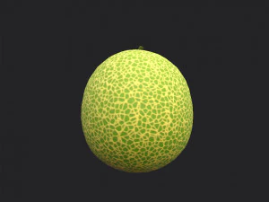 melone Modello 3D