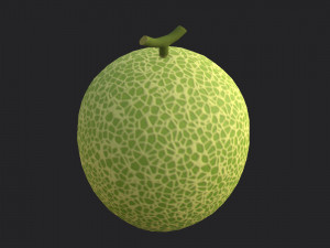 melon 3D Модель
