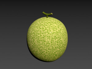 melon 3D Модель