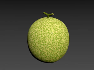 melone Modello 3D
