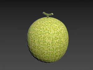 melone Modello 3D
