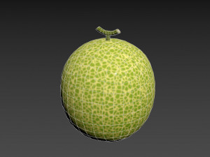 melon 3D Модель