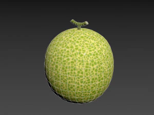 melone Modello 3D