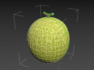 melon 3D Модель