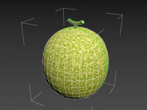 melone Modello 3D