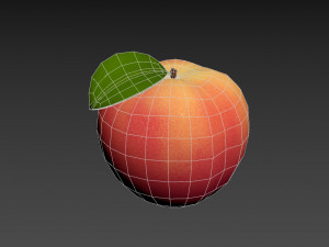 peach fruit Model 3D