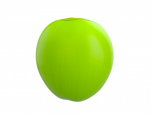 coconut 3D Model