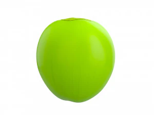 coconut 3D Model