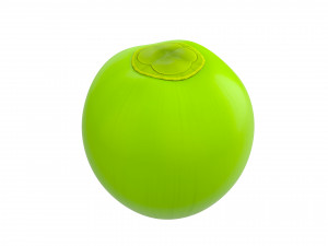 coconut Model 3D
