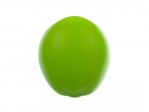 coconut Model 3D
