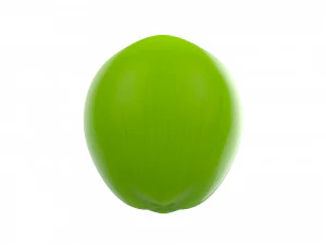 coconut 3D Model