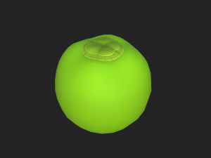 coconut Model 3D