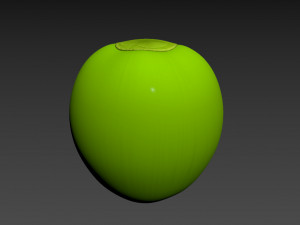 coconut Model 3D
