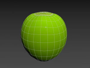 coconut 3D Model