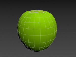 coconut Model 3D