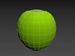 coconut 3D Model