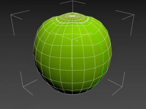 coconut 3D Model