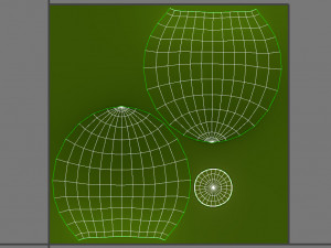 coconut Model 3D