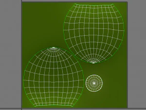 coconut 3D Model