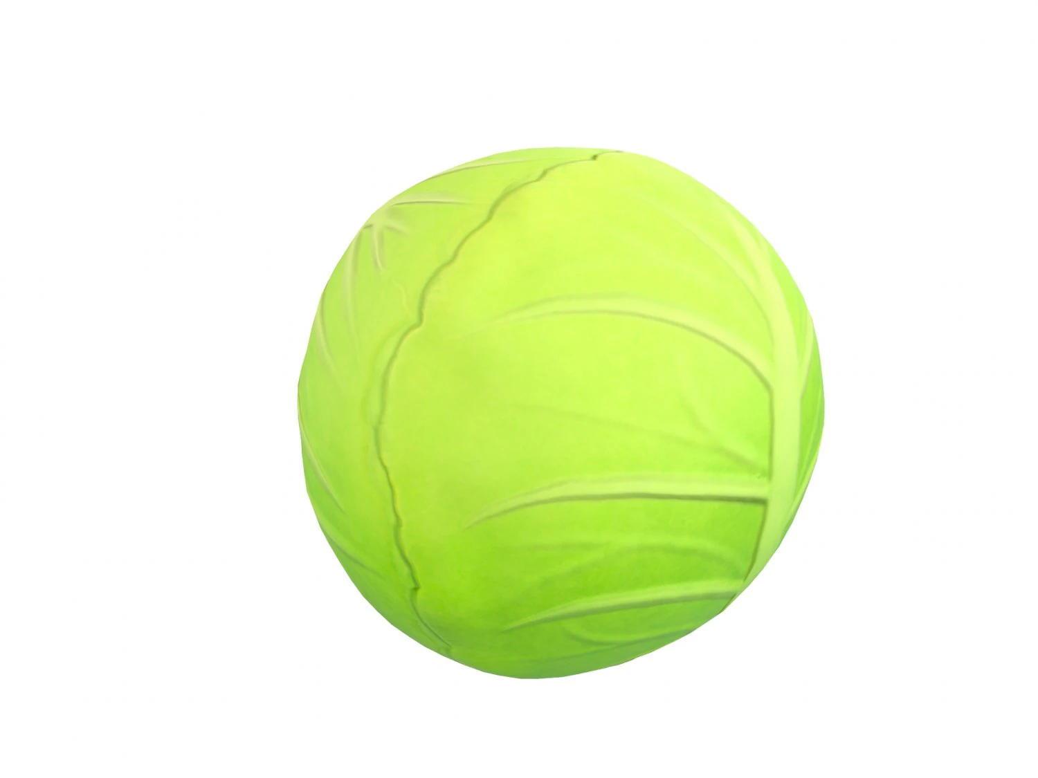 cabbage 3D Model .c4d .max .obj .3ds .fbx .stl .blend 