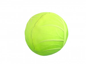 cabbage 3Dモデル