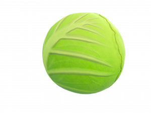 cabbage Modello 3D