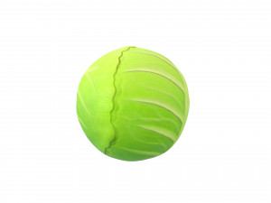 cabbage Modello 3D