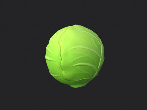 cabbage Modello 3D