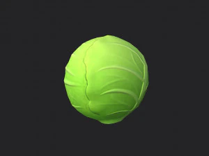 cabbage 3D Model