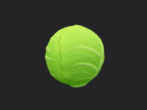 cabbage Modello 3D