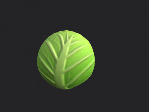 cabbage Modello 3D